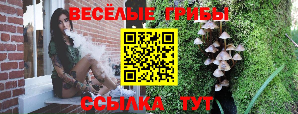Псилоцибиновые грибы MAGIC MUSHROOMS  Псилоцибиновые грибы прущие грибы  Щёкино  где можно купить   Вход с VPN 