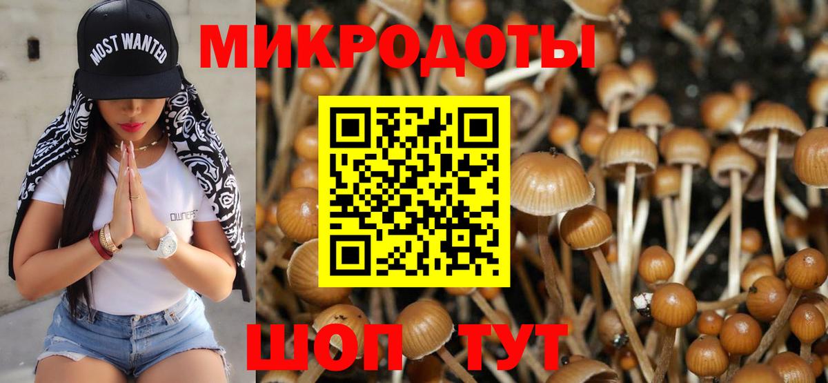 Галлюциногенные грибы GOLDEN TEACHER Щёкино